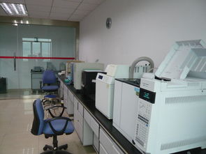 工程化技術(shù)服務(wù)的核心價值與實踐路徑