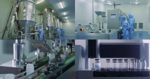 2021年生物試劑產(chǎn)品及技術(shù)服務(wù)市場(chǎng)深度分析 技術(shù)服務(wù)成關(guān)鍵增長(zhǎng)引擎